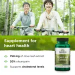 Olive Leaf Extract Capsules