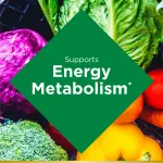 Vitamin B-Complex Liquid Supplement