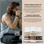 Turkey Tail Mushroom Capsules