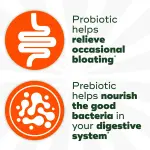Align Probiotic DualBiotic Gummies