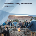 LifeLink's Platform Multi-Nutrient Caplets