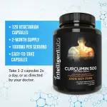 Intelligent Labs Curcumin Phytosome 500 Capsules