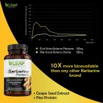 Berberine Phytosome Capsules