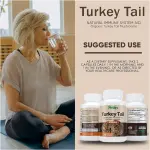 Turkey Tail Mushroom Capsules