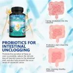 Once Daily Probiotics 50 Billion Capsules