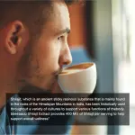 Orgeuos Himalayan Shilajit Supplements