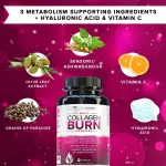 Vitauthority Multi Collagen Burn Capsules
