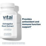 Astragalus Root Extract Capsules