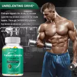 Fadogia Agrestis Energy Booster Dietry Supplement