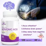 Nervonic Acid Brain Health
