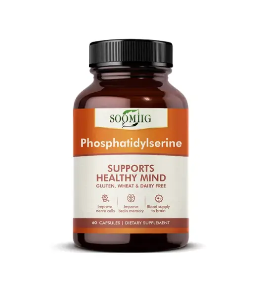 Brain Supplement Capsules