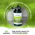 Olive Leaf Extract Capsules