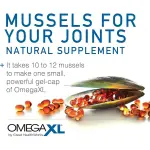 Joint & Muscle Support Capsules