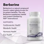 Theralogix Berberine Absorption Capsules