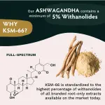 Ashwagandha KSM-66 Herbal Capsules