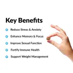 Force Factor Amazing Ashwagandha Tablets