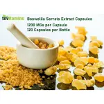 TNVitamins Boswellia Serrata Capsules