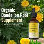 Dandelion Root Liquid