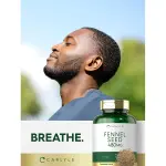 Fennel Seed 480mg Capsules