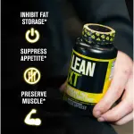 Lean-XT Non Stimulant Fat Burner Capsules