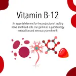 Vita Globe's B12 Vitamin Supplement