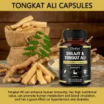 Daitea Shilajit & Tongkat Ali Capsules