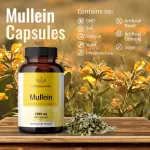 Mullein Leaf Extract Capsules