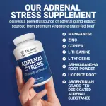 Dr. Berg Adrenal Stress Capsules