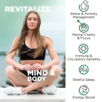 Nutrivein Organic Ashwagandha Capsules