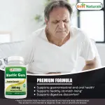 Best Naturals Mastic Gum Capsules