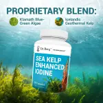 Dr. Berg Sea Kelp Enhanced Iodine Capsules