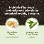 Ultra Probiotic Digestive Health Capsules