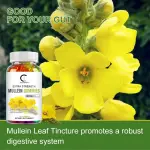 Mullein Leaf Gummies