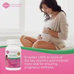 Fairhaven Health Peapod Prenatal Multivitamins Tablets