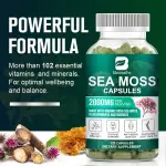 Beworths Organic Sea Moss Capsules