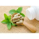 VistaSlim Garcinia Cambogia Capsules