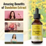 Dandelion Root Liquid