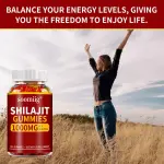 Himalayan Pure Organic Shilajit 1000mg