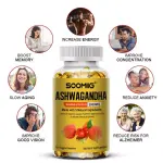 Ashwagandha Stress Anxiety Capsules