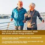 Catfit Antioxidant Heart Health & Energy Capsules